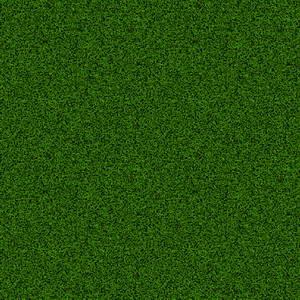 丹东各种冷季型绿化草坪草皮出售-热情商家，品质保证