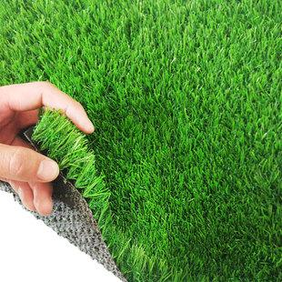 克拉玛依绿化带土草坪草皮出售-长期合作，信誉保障