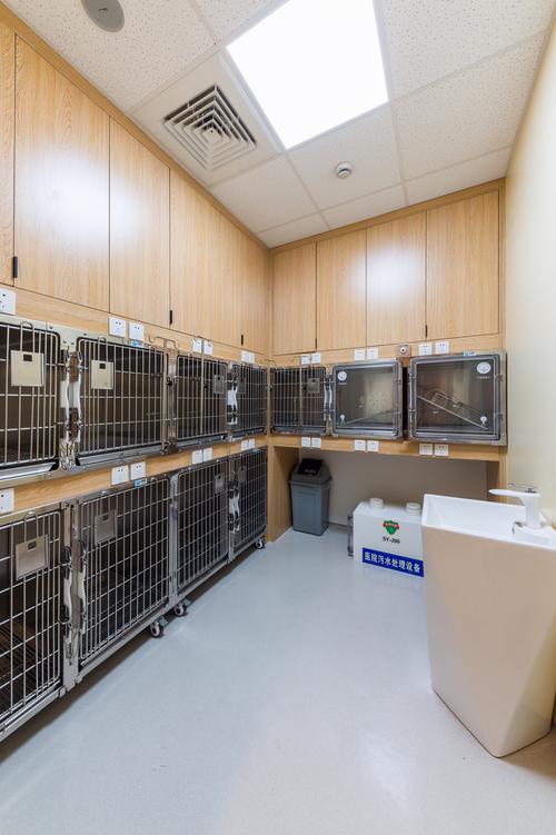 菏泽猫猫医院-领先的宠物医疗技术，确保治疗效果