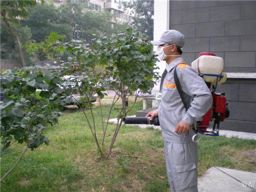 柳州专业杀虫灭虫公司哪家好?提供除四害服务