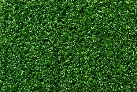 宣城绿化带土草坪草皮供应-长期合作，信誉保障