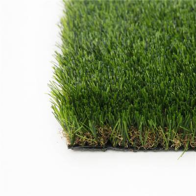 海西绿化带土草坪草皮出售-热情商家，品质保证