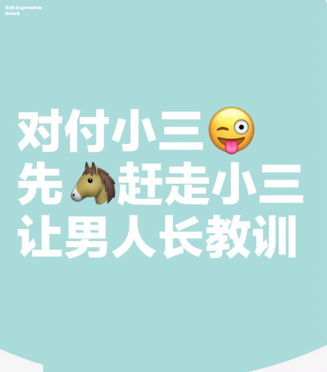 岚皋对付小三公司，对付小三，合法对付小三